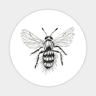 Wasp drawing Magnet